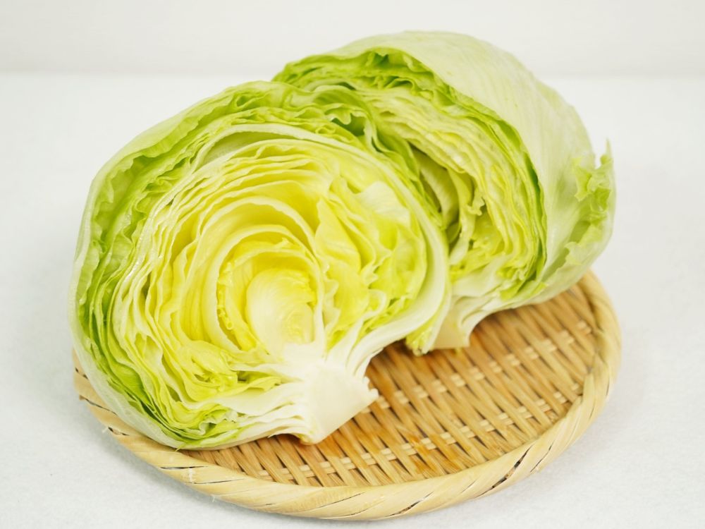 ザルに盛られたレタス