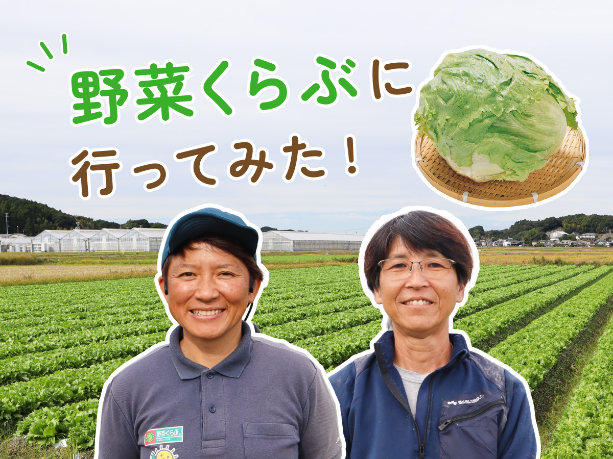 野菜くらぶに行ってみた！の文字と野菜くらぶの2人が映った写真