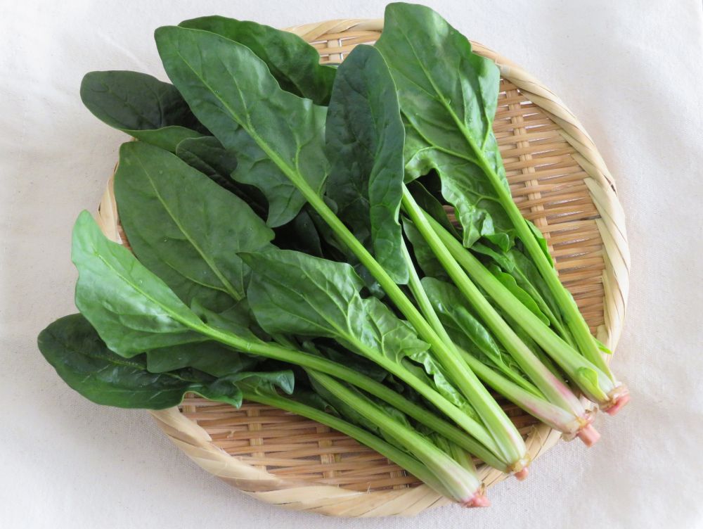 ザルにのった生のほうれん草
