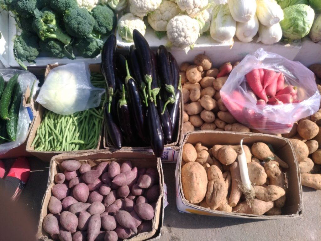 外で箱詰めされた野菜 ブロッコリー じゃがいも さつまいも なす 白菜など