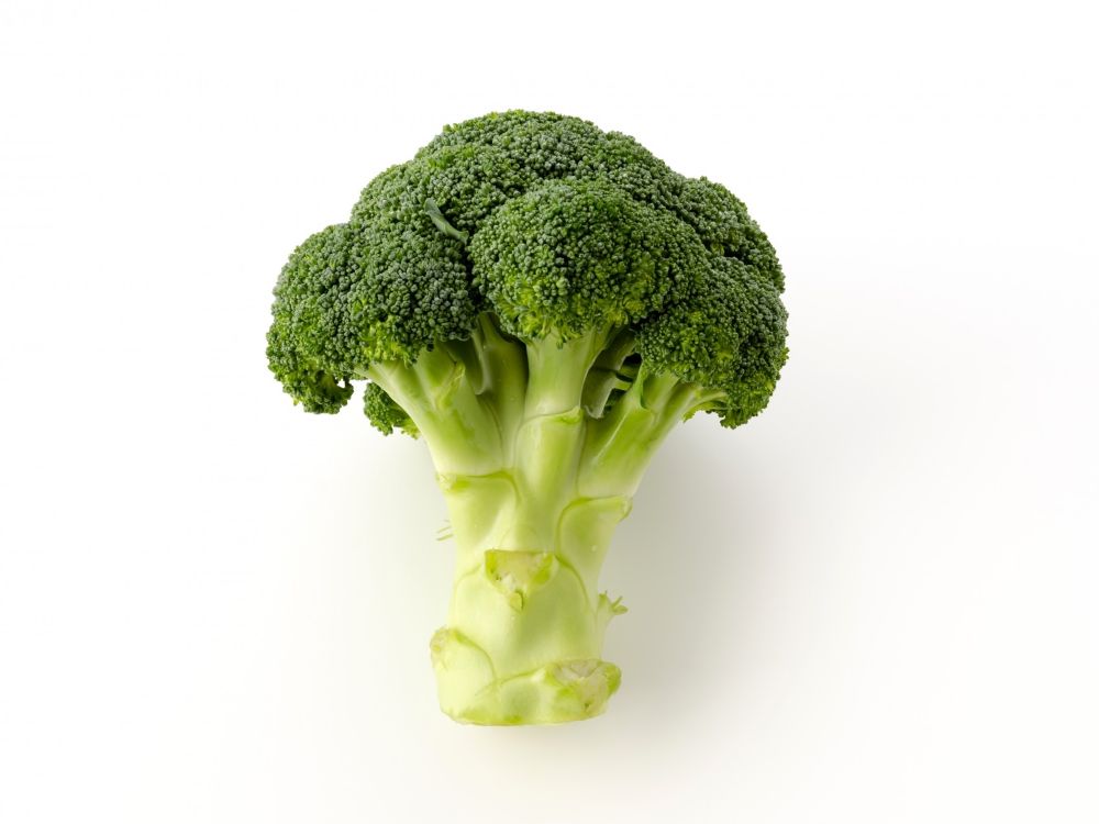 ブロッコリーの写真