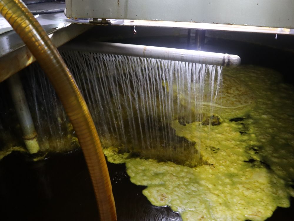 なたね油を湯洗いしている様子