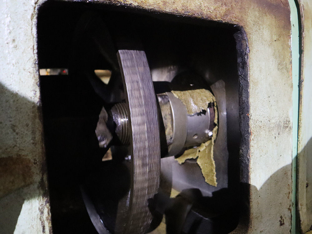 なたねをすりつぶすスクリューの写真