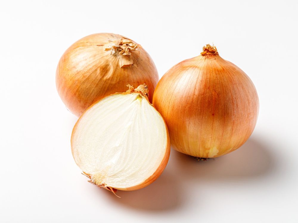 玉ねぎの写真