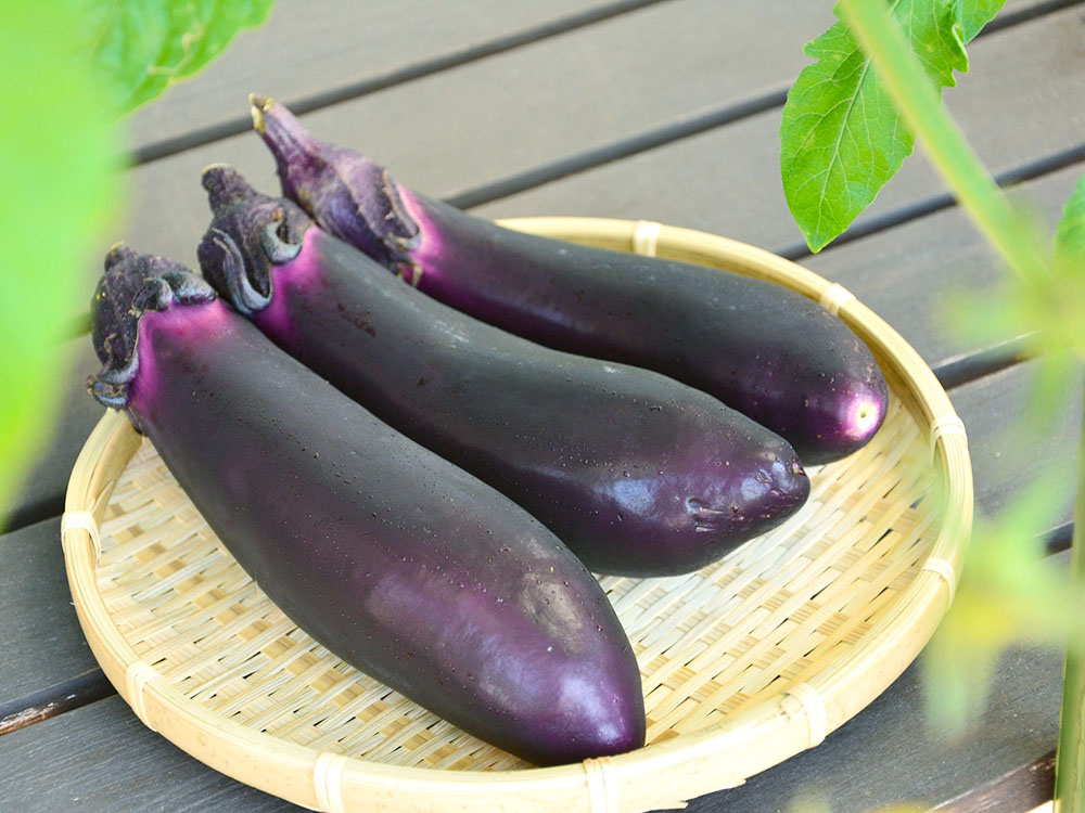 3本のなすがザルに盛られてすのこの上に置かれている様子を葉っぱ越しに捉えた写真